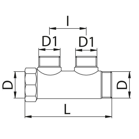 Scheda tecnica - Manifold with 2 male outlets