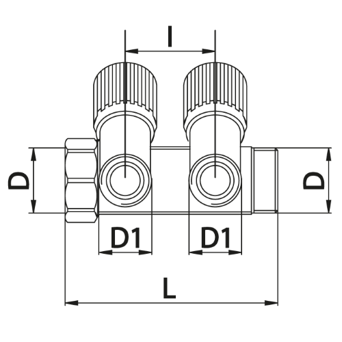 Scheda tecnica - Manifold with 2 male outlets and oblique valve