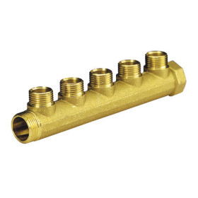 Manifold with 5 male outlets