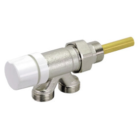 Thermostatisable valve for monopipe