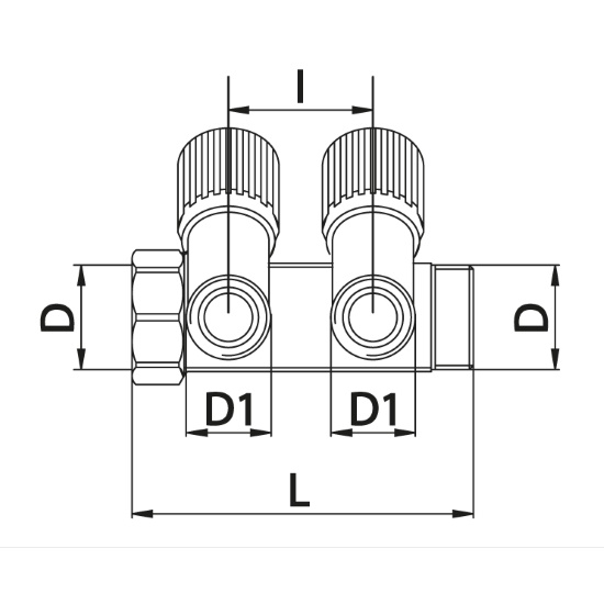 Scheda tecnica - Manifold with 2 male outlets and oblique valves