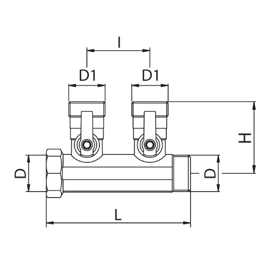 Scheda tecnica - 2 ways male manifold Euroconus with incorporated ball valves