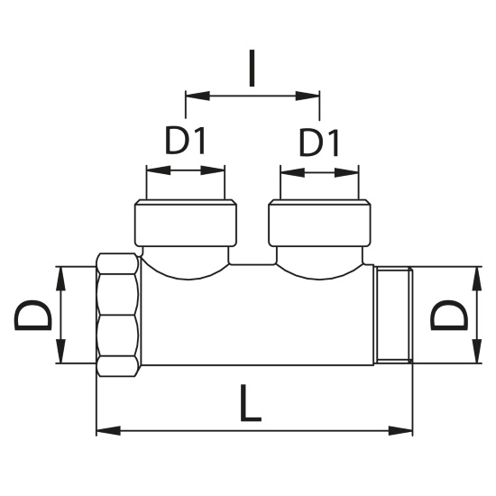 Scheda tecnica - Manifold with 2 female outlets