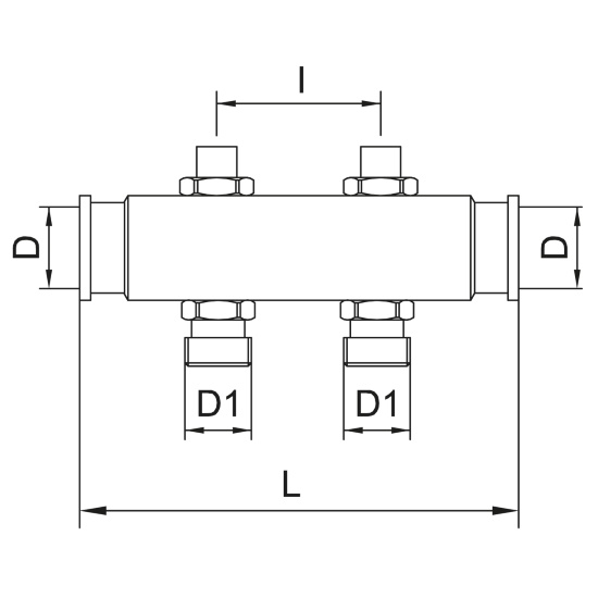 Scheda tecnica - FF manifold with 3/4 euroconus outlets and lockshields