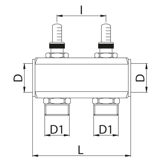 Scheda tecnica - FF manifold with 3/4 M Euroconus outlets and flowmeters