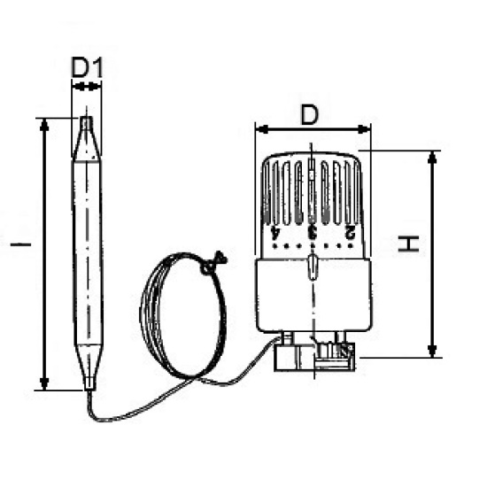 Scheda tecnica - Thermostatic head, with probe